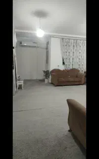 موکت پالاز