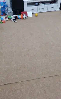 موکت