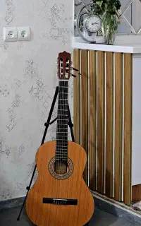 گیتار پارسی M2