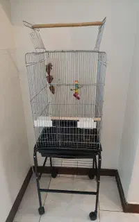 قفس پرنده