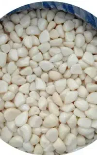 سیر حبه ای