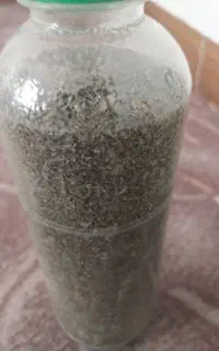 پونه خشک  طبیعی  وارگانیک