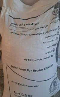 دان پلیت گوشتی