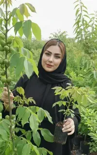 گردوپیوندی و نهال بادوم مقاوم به سرما