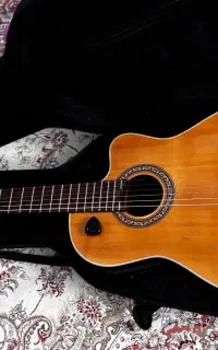 گیتار هافنر پیکاپ دار