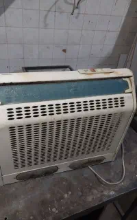 هود