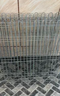 داگ پارک (قفس سگ)