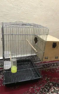 قفس عروس هلندی