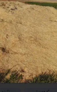 کاه