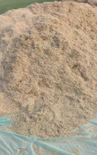 کاه