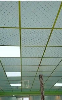 سقف کاذب کناف  سقف۶۰  در۶۰  رنگ امیزی