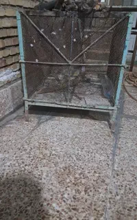 قفس آهنی مناسب پرنده
