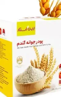 پودر جوانه گندم