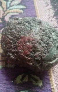 شهاب سنگ قرمز باجذب بالا چگالی بالا. مریخی