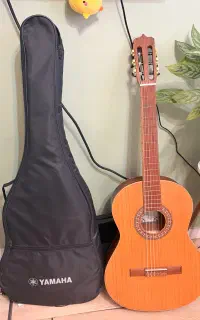 گیتار پارسی P80 (کاور، کاپو، پیک)