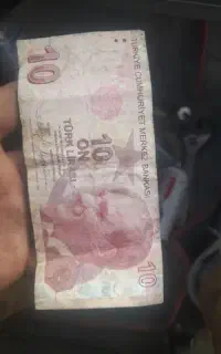کلکسیون