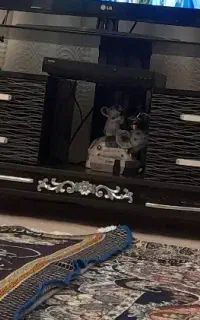 لوازم خانگی ودکوری