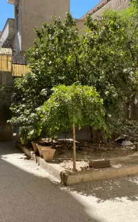 خونه دربستی به متراژ ۲۲۰ متر