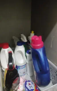 شرکت خدماتی ماه گل