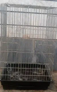 قفس بزرگ پرنده