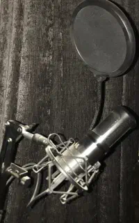 میکروفون حرفه ای maono