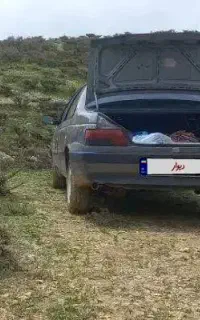 پژو۴۰۵