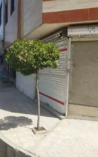 رهن و اجاره مغازه اندیشه 71 حاشیه خیابان اصلی