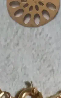 یه پلاک طلا گم کردم