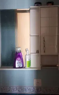 سرویس بهداشتی