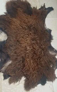 پوست خشک