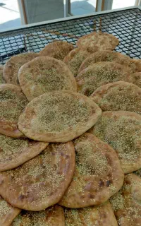 شاطر فتیر