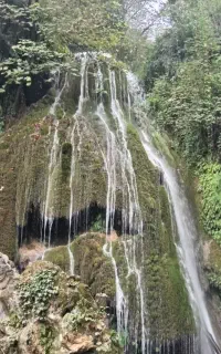 تور وسفرهای تفریحی