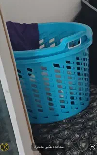 سبد بزرگ مفت مفت
