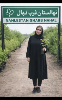 فروش نهال انار گردوانگور بادام صنوبر خرمالو گلدانی