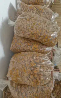 آلو بخارا کبرایی