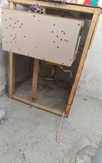 قفس پرنده
