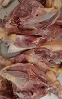 اسکلت مرغ