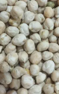 نخود خشک دیزی درجه یک