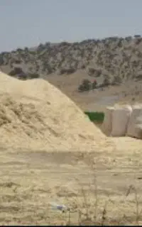 کاه نخود و کاه عدس دارید زنگ بزنید