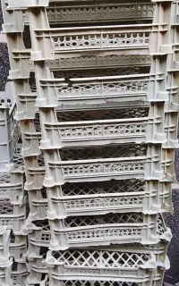 سبدتک رج سفید