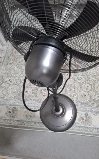 پنکه کوئین هوم اصلی نونو