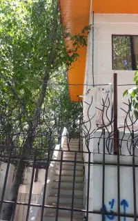 سوئیت اجاره ای