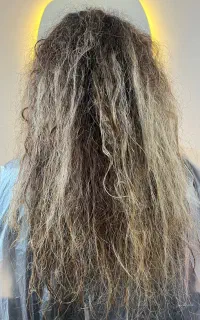 آموزش به شرط دستیاری