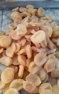 قیسی فله تناژ