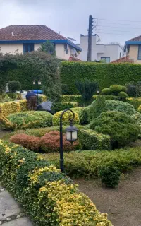 باغبانی و کارواش