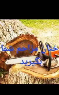 رایگان قطع درختان مزاحم رایگان