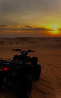 تور فولبرد کویر مصر