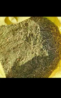 خار فروشی درج یک