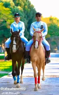 آموزش سوارکاری  پانسیون خرید و فروش