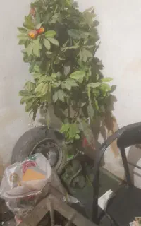 درخت مصنوعی